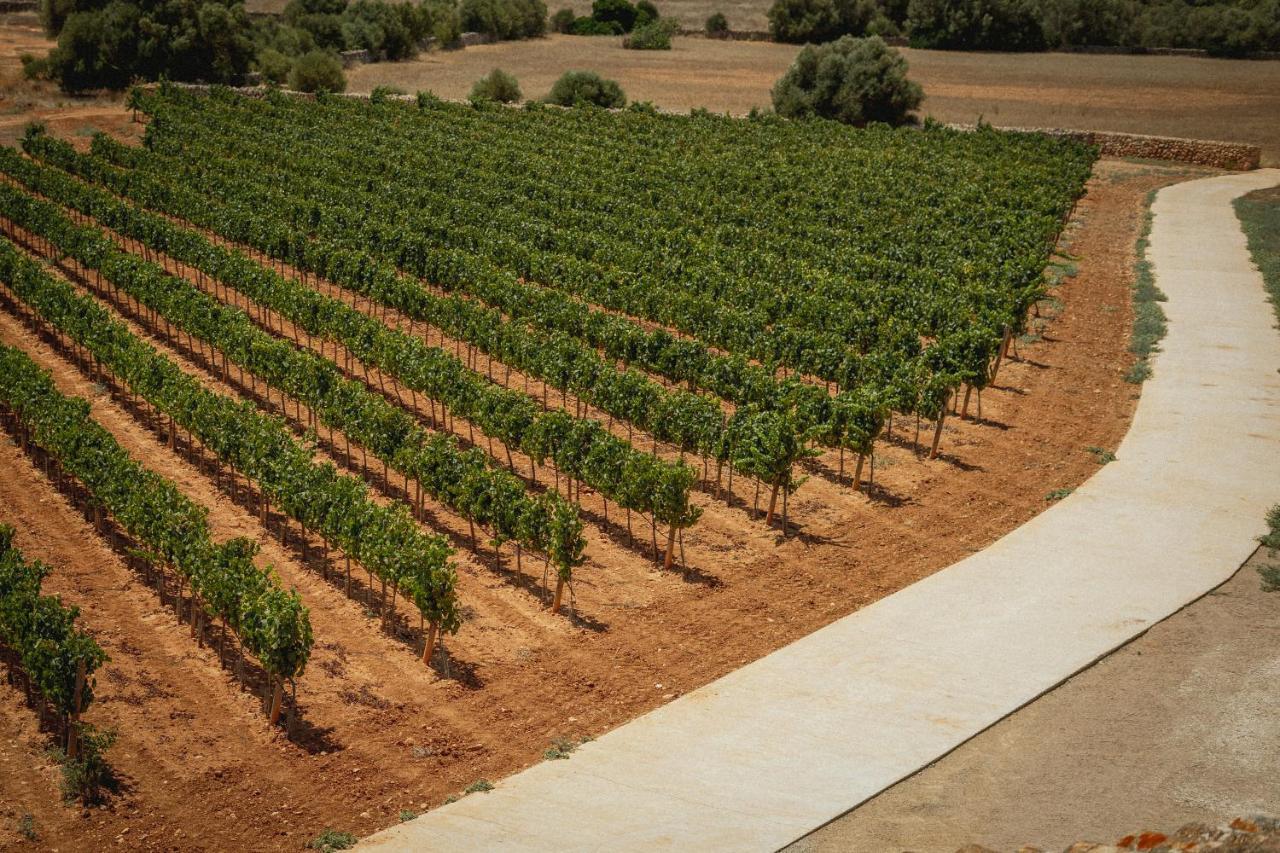 Finca Gomera By Itinerem - Adults Only Llucmajor (Mallorca) Εξωτερικό φωτογραφία